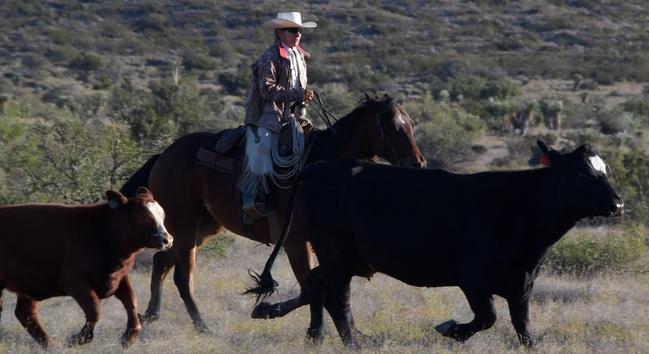 Male rancher on a horse